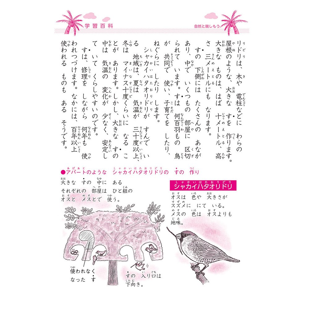 Amazon.co.jp: ショウワノート ジャポニカ学習帳 連絡帳 9行 JA-68