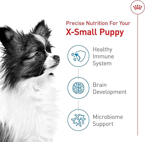 Miniatura 4 de De Royal Canin, Size Health Nutrition, comida seca para cachorros extra pequeños, comida para perros