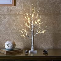 EAMBRITE 2FT Lighted White Birch Tree with 24 Warm LEDs - Battery/USB Timer Operated Mini Twig Tree for Christmas Indoor Table Decor