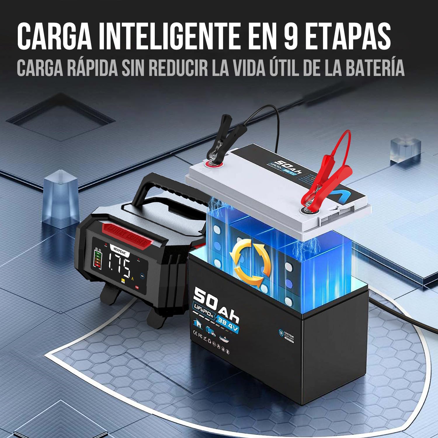NEXPEAK 15A Cargador de Batería de Coche 12V 24V para Plomo-ácido/LiFePO4
