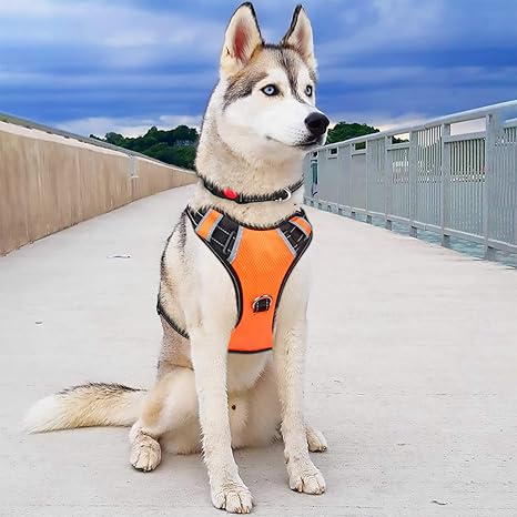 no pull dog harness amazon