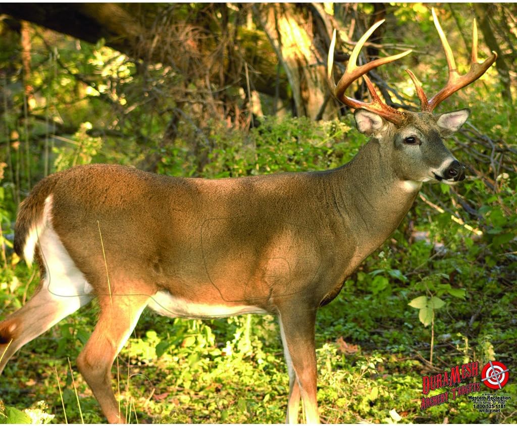 Archery Target, Brown, 25" x 32"