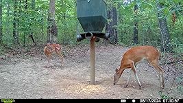 Review Image by Tom P Tom P