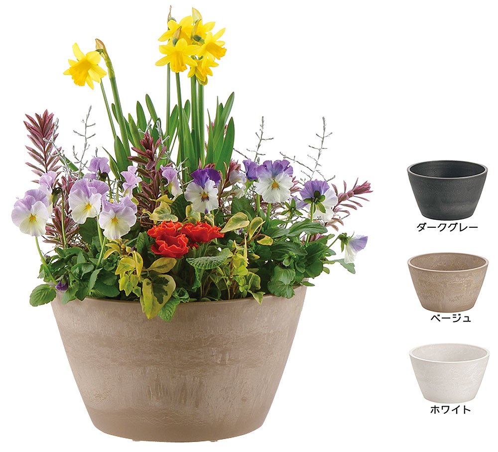 Amazon.co.jp: リッチェル ボタニー ボール 30型 ホワイト 日本製