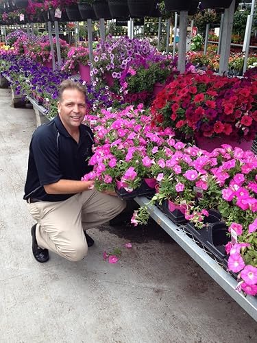 Wallace Organic Wonder Fertilizante orgánico soluble en polvo de algas marinas (10 libras)