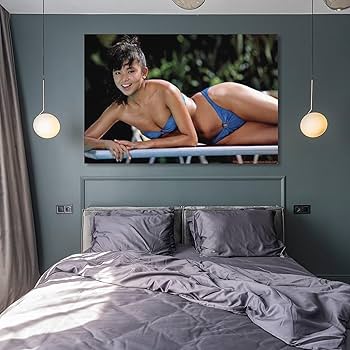 BABYL 海外VIP特典 2015年 3Dパス ミニ写真集 チラシ Amazon.co.jp: 山口智子写真セクシー壁飾りポスター キャンバス
