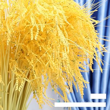 Fake Grain Plant Artificial Paddy Rice Flowers Yellow Natural Plants for Home Office Hall Shop Window Garden Decoration 12 Packs 23.6inches