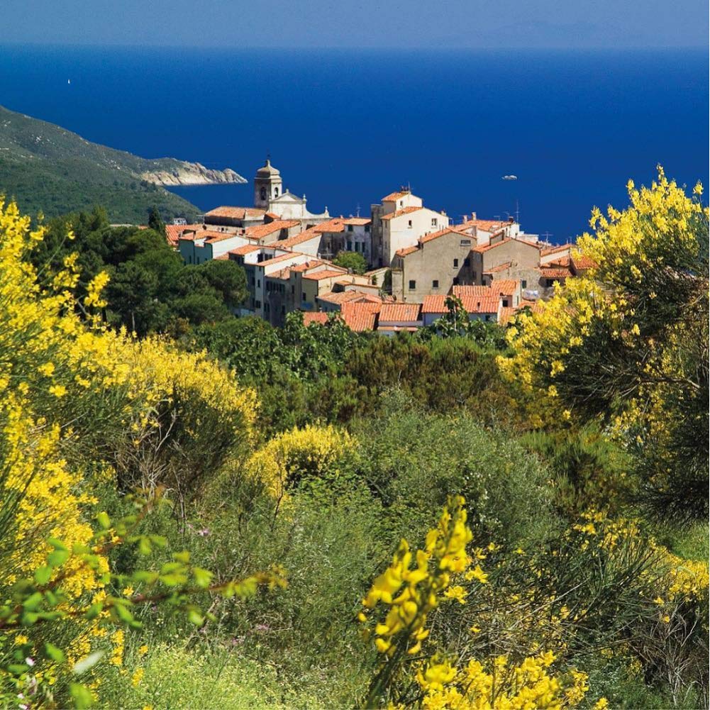 Amazon.co.jp: ルームフレグランス ACQUA DELL'ELBA (アクア デル