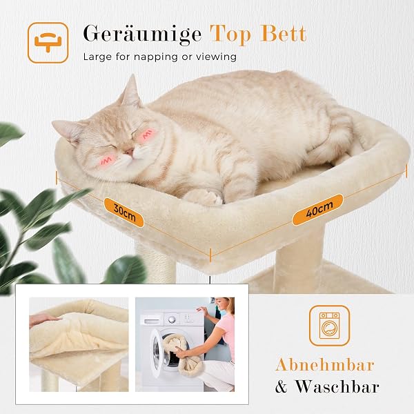 PETEPELA Cat Tree 90cm Cat Tower with Double Condos, Removable Spacious Perch, Fully Wrapped Scratching Posts for Indoor Cats, Replaceable Dangling Balls, 35 Inches Beige - 2