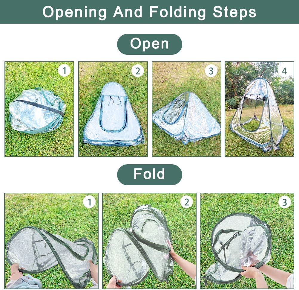 LATERN Tenda della Serra Pop Up, Mini Grow House Stanza del Sole del Fiore del Giardino del PVC Copertura per Serra Portatile per Piante da Giardino Protezione dal Gelo Freddo (70 x 70 x 80cm)