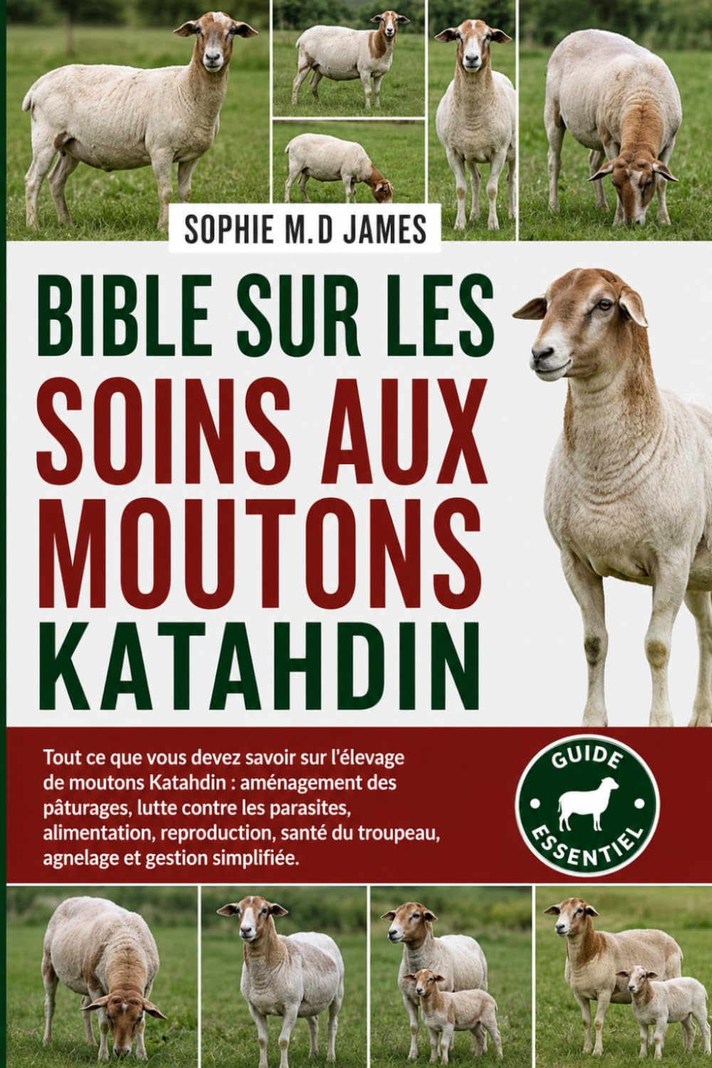BIBLE SUR LES SOINS AUX MOUTONS KATAHDIN: Tout ce que vous devez savoir sur l'élevage de moutons Katahdin : aménagement des pâturages, lutte contre ... du troupeau, agnelage et gestion simplifiée.