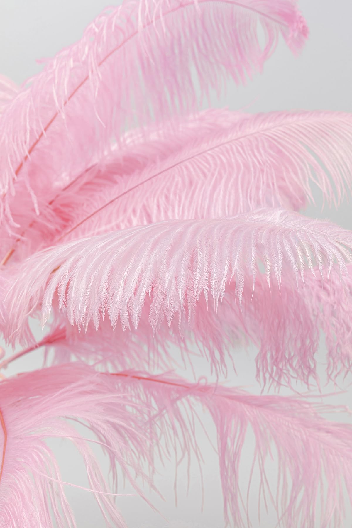 Kare Design Tischlampe Feather Palm Rosa, Schreibtischlampe, Desk Lamp, Nachttischlampe, Dekoleuchte, Leuchtmittel nicht inklusiv, Tischleuchte, Palmen Motiv, Federn, 60x50x50cm