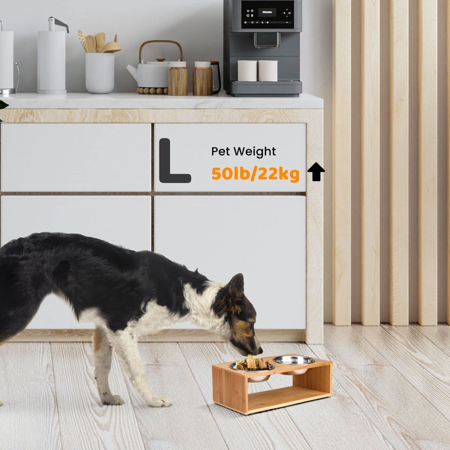 Flexzion Ciotole Elevate per Cani e Gatti - Stazione di Alimentazione Vassoio di Alimentazione Rialzato bambù con Doppio Piatto Cibo Acqua (18 Oz, 6 "di Altezza) Ciotola Rialzata con Supporto Acciaio