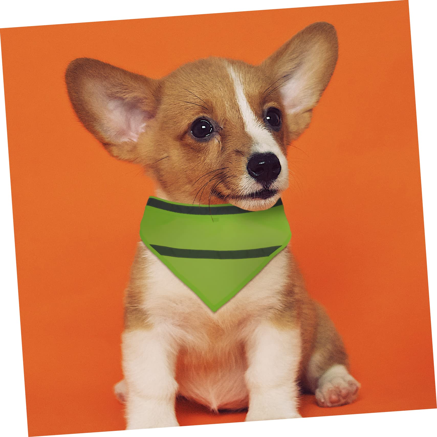minkissy 6 toallas triangulares para mascotas, bufanda reflectante para gatos, bandanas para perros grandes, bandana para cachorros, babero para mascotas, bufanda para cachorros, bufanda a rayas,