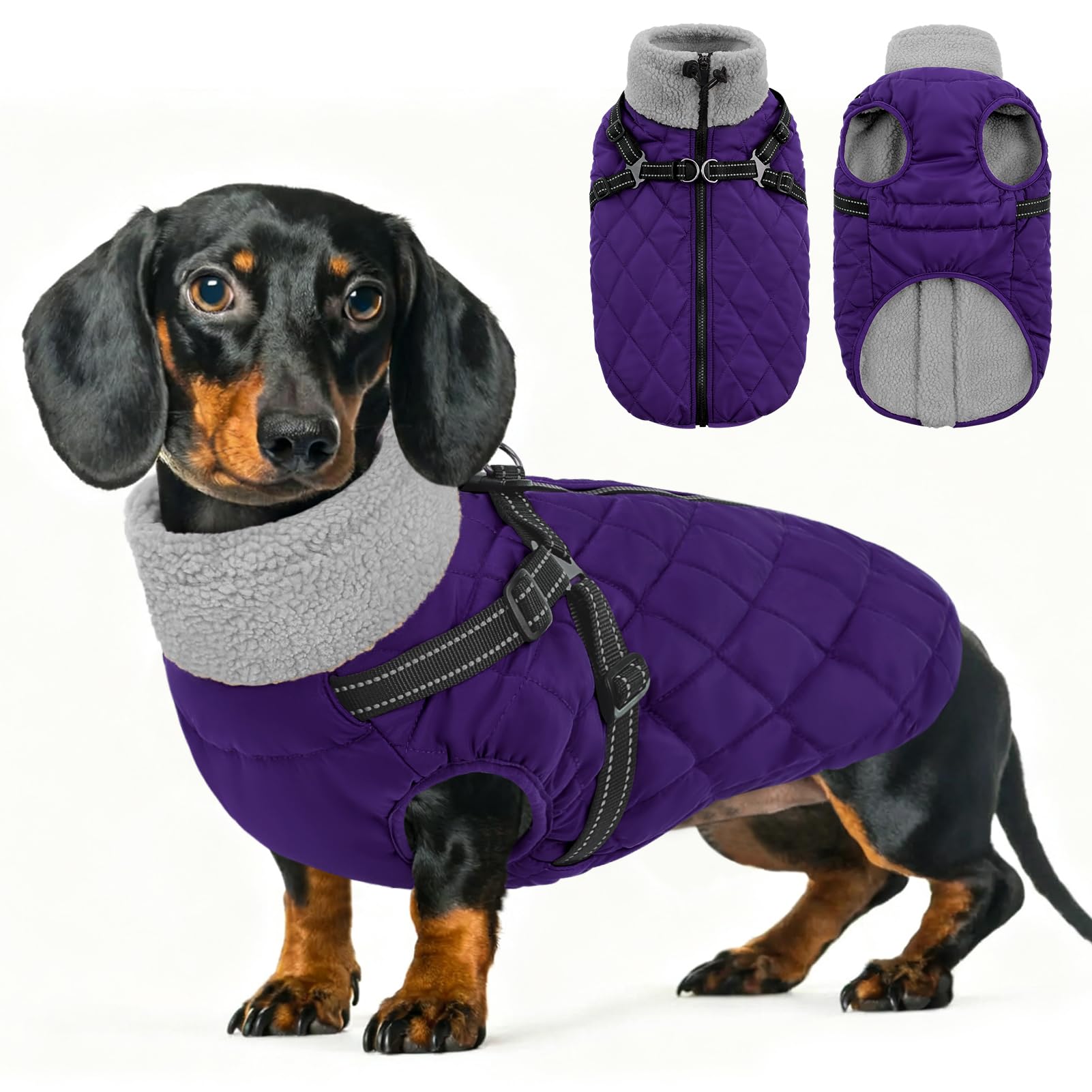 Queenmore Hundemantel Winter Hundejacke Kleine Hunde Wasserdicht
