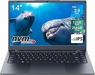 14-inch Windows 11 Laptop, 12GB RAM, 256GB NVMe SSD, up to 2100MB/S, FHD IPS Display, Intel Celeron N5095 Quad Core, 5G WiFi, BT4.2, Type C and Camera Cover, Lightweight and Portable