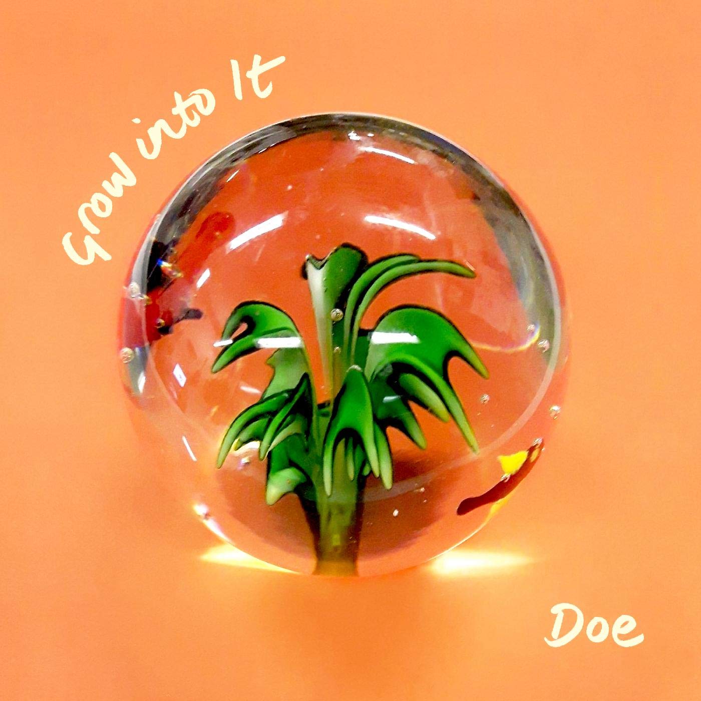 Grow Into It [VINYL]