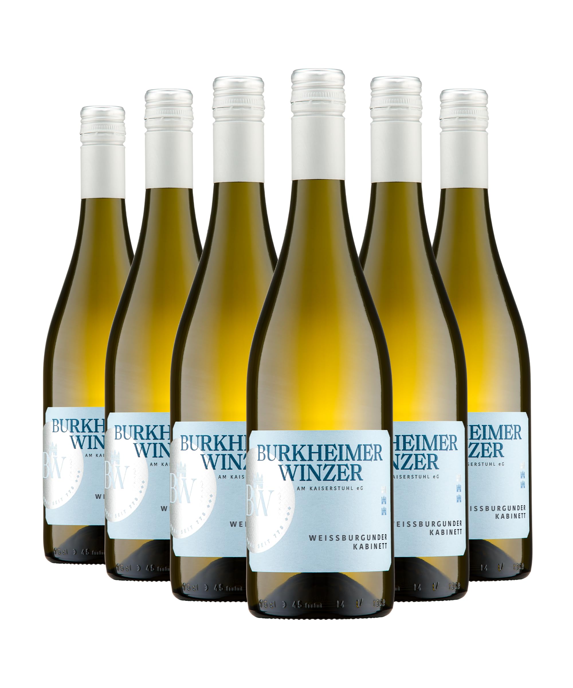 Burkheimer Weißburgunder halbtrocken Kabinett – aus dem Schlossgarten mit eleganter Frische & dezenter Säure, rassiges Bukett – Lebensfreude-Kollektion – Weißwein vom Kaiserstuhl (6 x 0,75l)