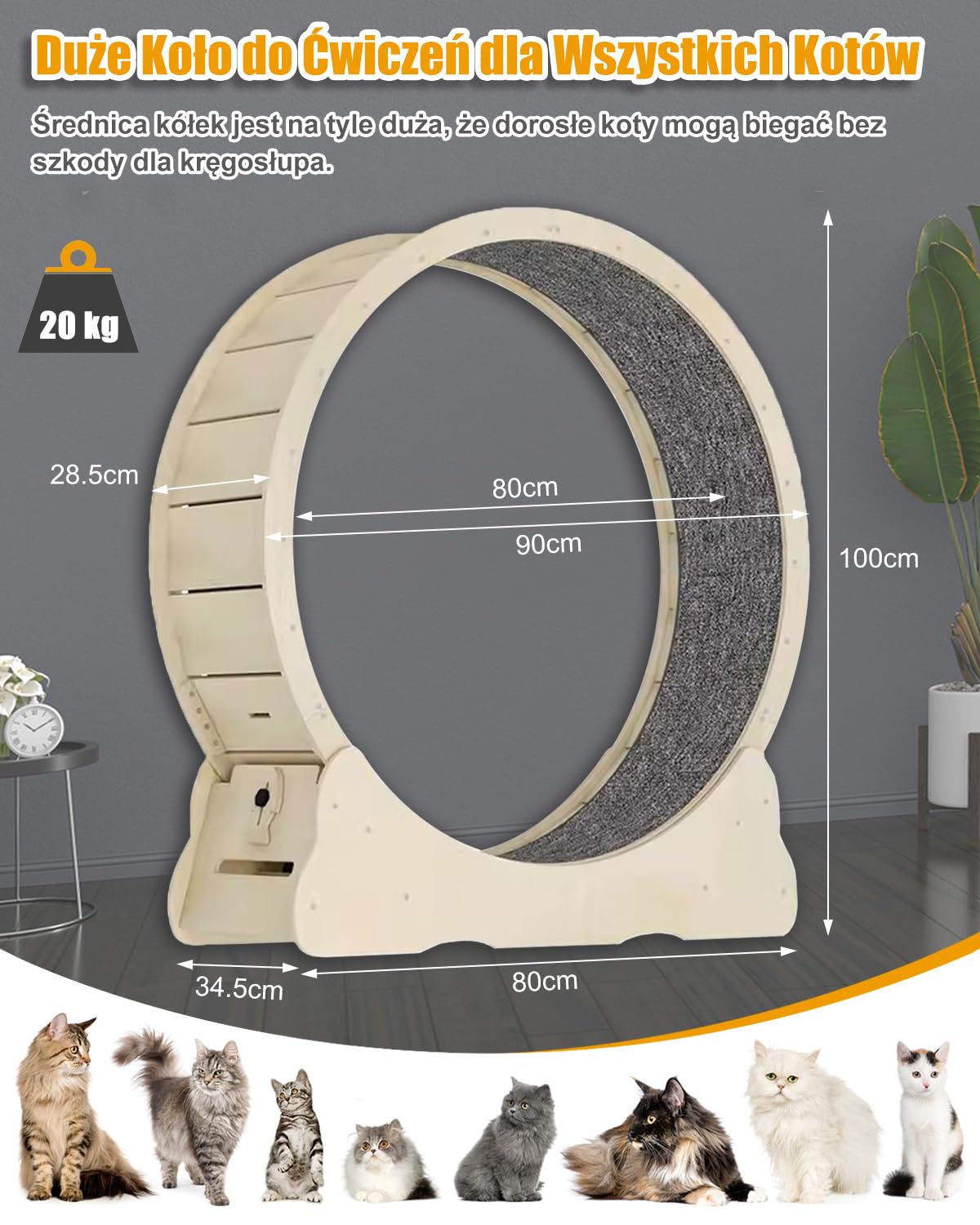 Naturalny Kołowrotek dla Kota 90 cm z Drewna, Cichy i Stabilny | Blokada Bezpieczeństwa, Szczelina Poniżej 6 mm Chroni Łapy, Udźwig do 20 kg, Zdejmowana Mata, Łatwa do Czyszczenia