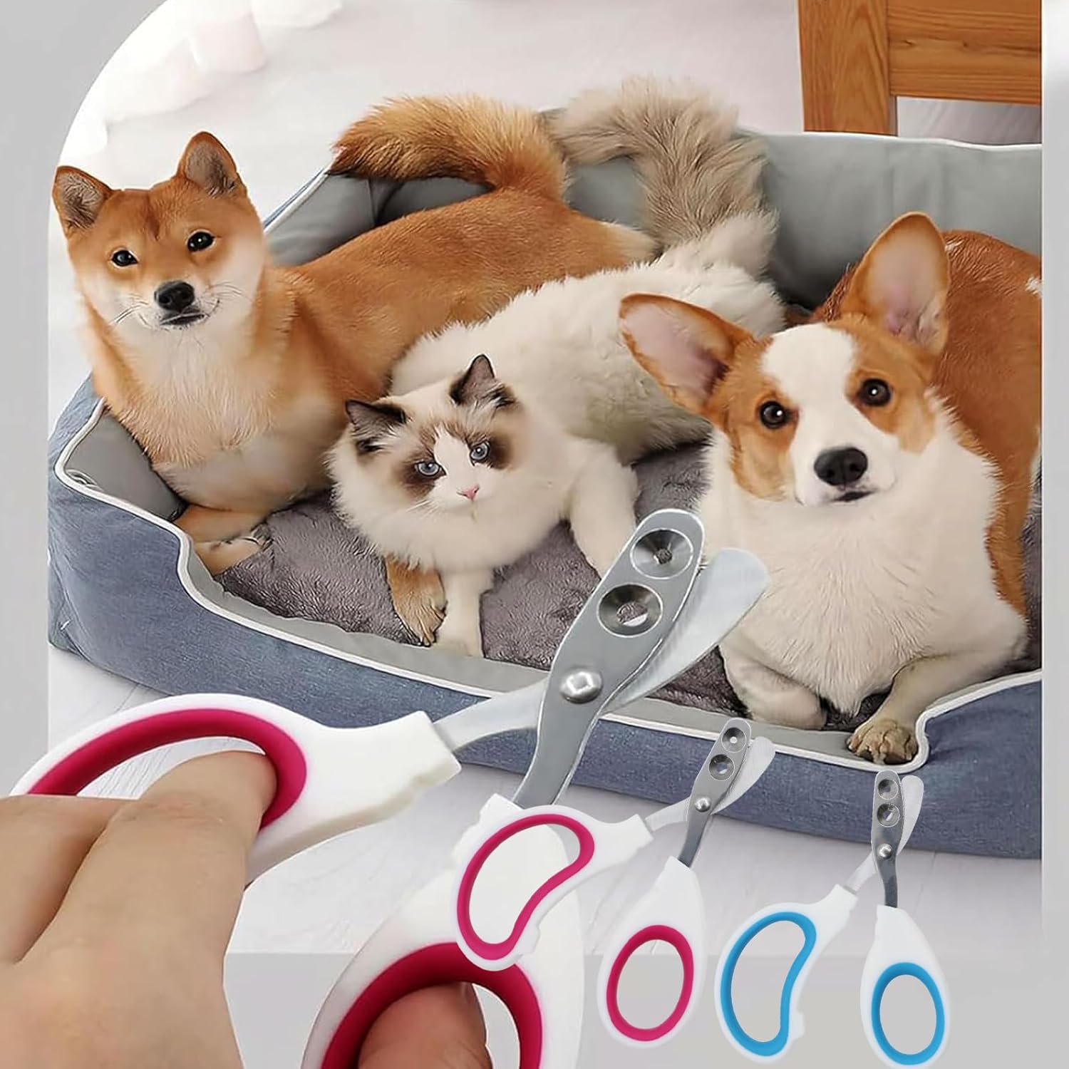 2 Pack Pet Nail Clippers for Cats and Small Animals Claw Trimmer Cutter with Safety Guard for Indoor Kitten Dog Toenail Care Grooming Tool Blue and Purple