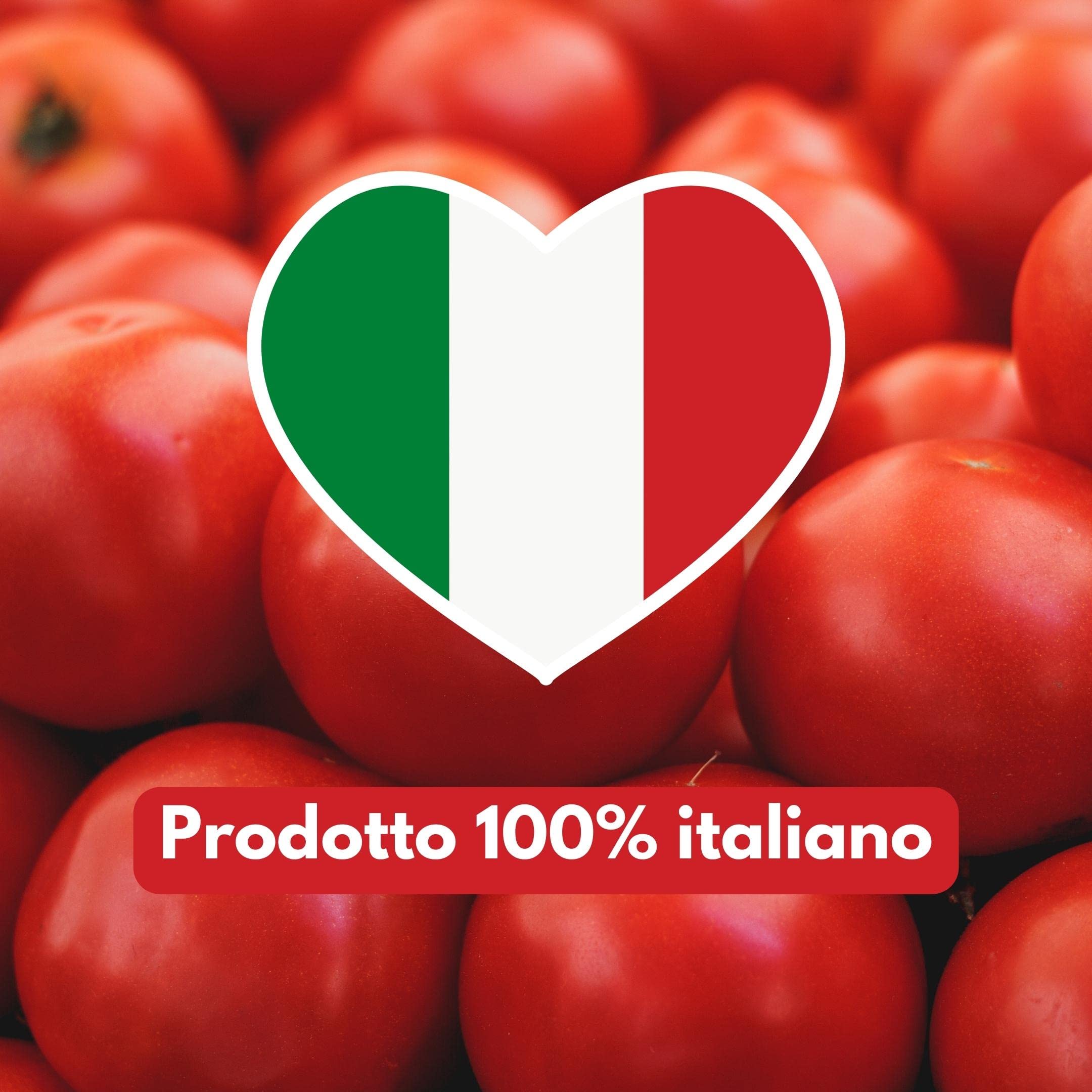 Passata di pomodoro Chef Service biologica ed artigianale, confezione da 3 pezzi da 340gr