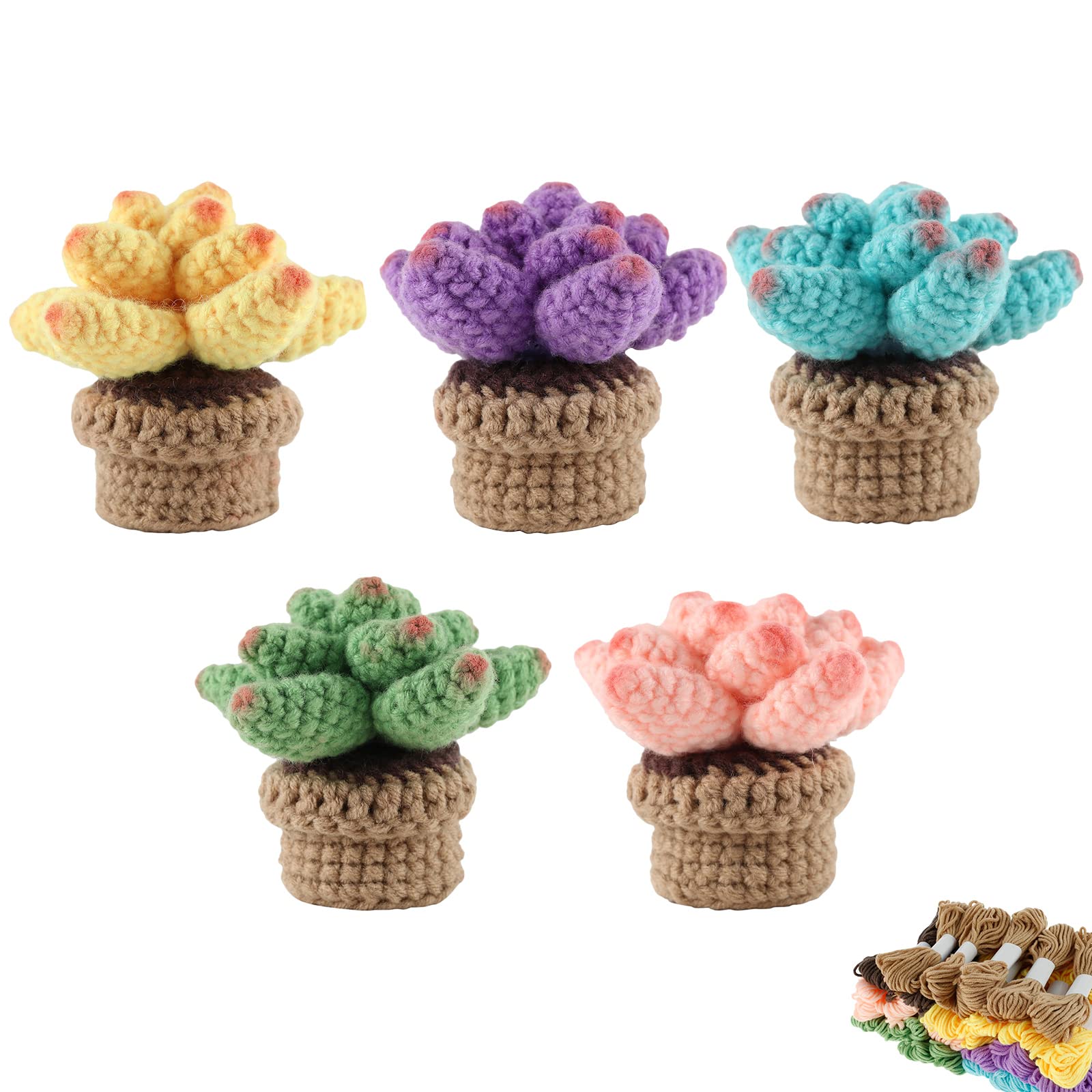 Kit Uncinetto Per Principianti SGIBYN Con Video - Piante Grasse E Amigurumi - Completo Di Filato, Uncino, Accessori