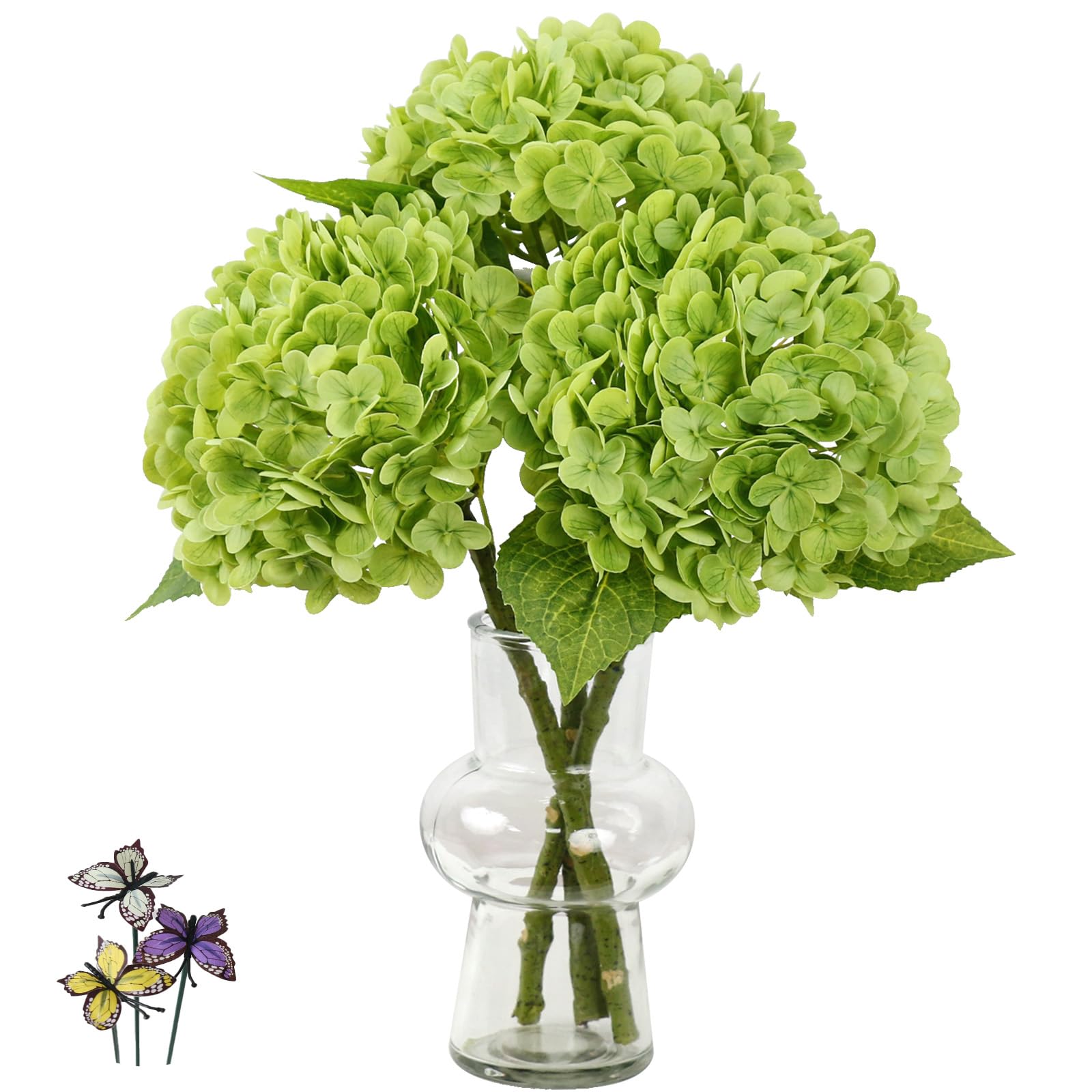 product_img5