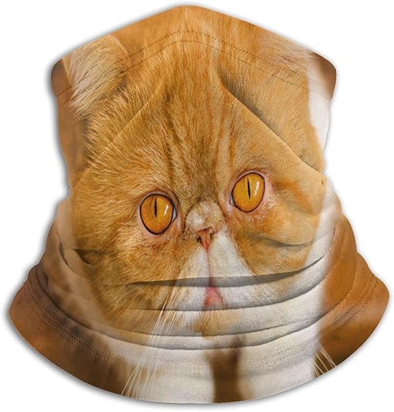 Amazon 可愛いエキゾチックショートヘア猫 ネックウォーマー マフラー ネックカバー 冬 防寒 防風 柔らかい 肌にやさしい 暖かい 通気性 速乾性 Uvカット 日焼け防止 自転車 釣り 通勤 通学 登山 多機能 男女兼用 ネックウォーマー 通販