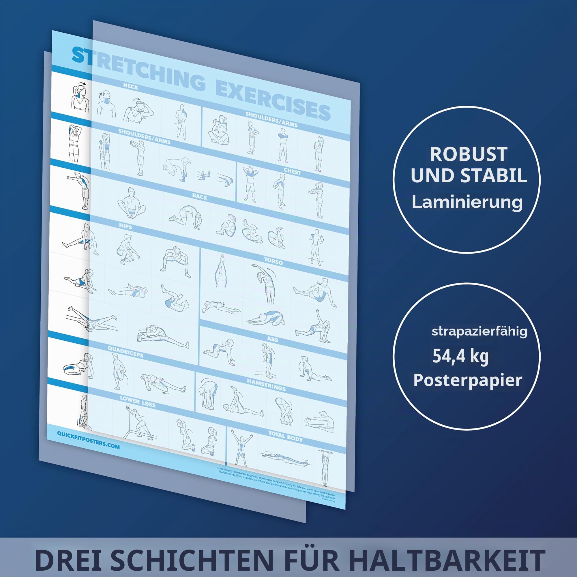 Palace Learning Yoga- und Dehnübungsposter – Set mit 2 laminierten Tafeln – Yoga-Positionen und Dehnübungen [leicht] (laminiert, 45,7 x 61 cm)