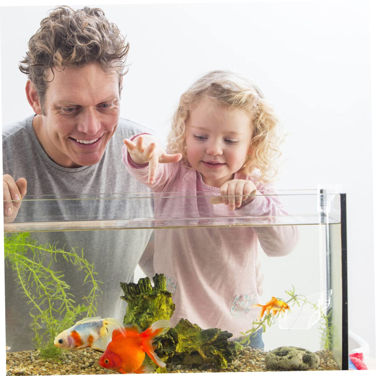Kisangel 2piezas Alimentador De Acuario Colgante para Camarones Dispositivo De Alimentación Práctico para Peces y Camarones Tanques De Acuario