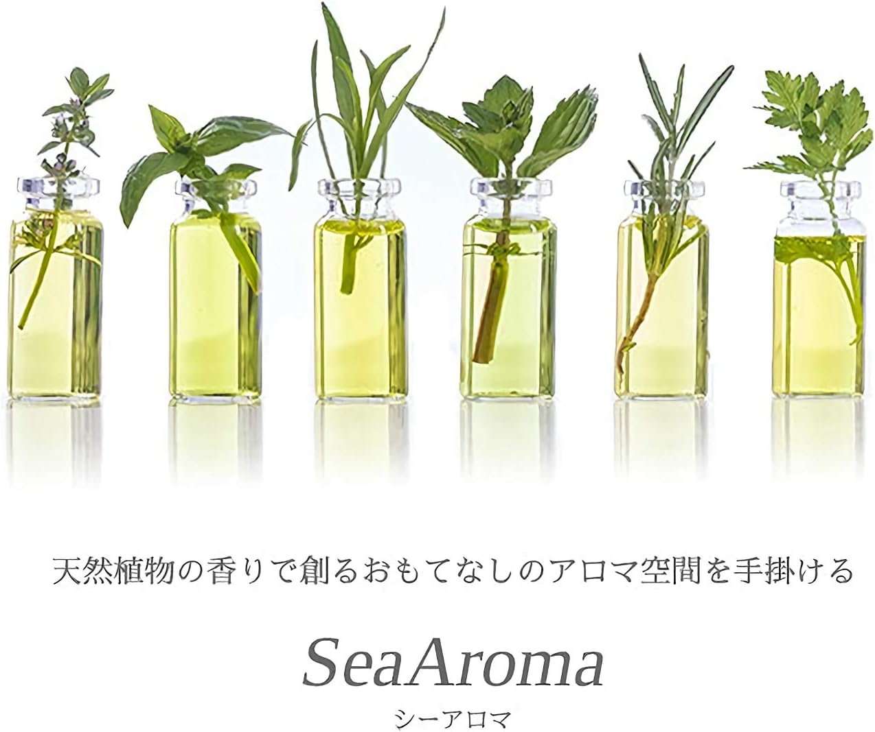 ☆各部モルト張り替え済・美品☆ ニコン F アイレベル ボディ