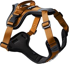 ShawnCo Basecamp Dog Harness, No-Pull Pet Vest with 3 Leash Clips, Padded, Reflective, Lightweight and Adjustable Harness with Handle for Small, Medium and Large Dogs (Sunset Orange, M)