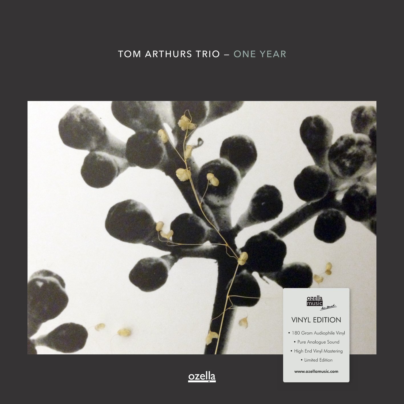 One Year [VINYL]