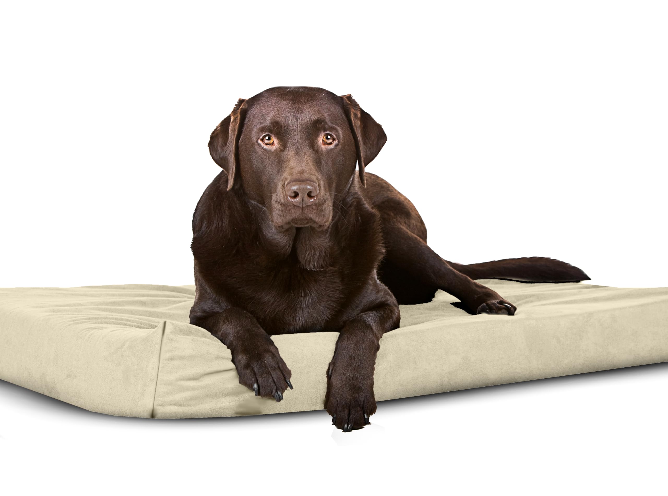 Sapphire Collection Waterproof Bed Cushion Pet Bed and Mattress Dog Cage Mat Pet Dog Cat Bed Pad with Washable & Removable Zipped Cover (Large (108 x 72 x 5cm), Cream)