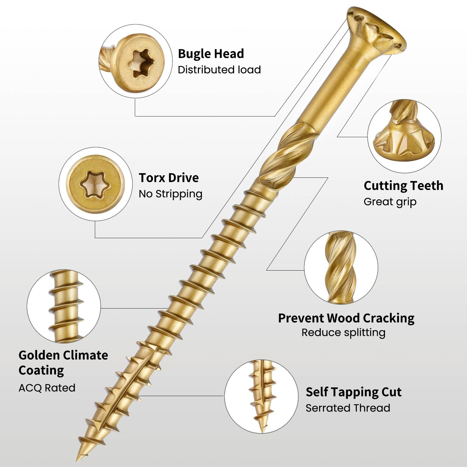 Tornillo de madera multiusos con cabeza de corneta Torx de 2-1/2 pulgadas para uso interior y exterior, revestimiento dorado con broca T25, 5 libras