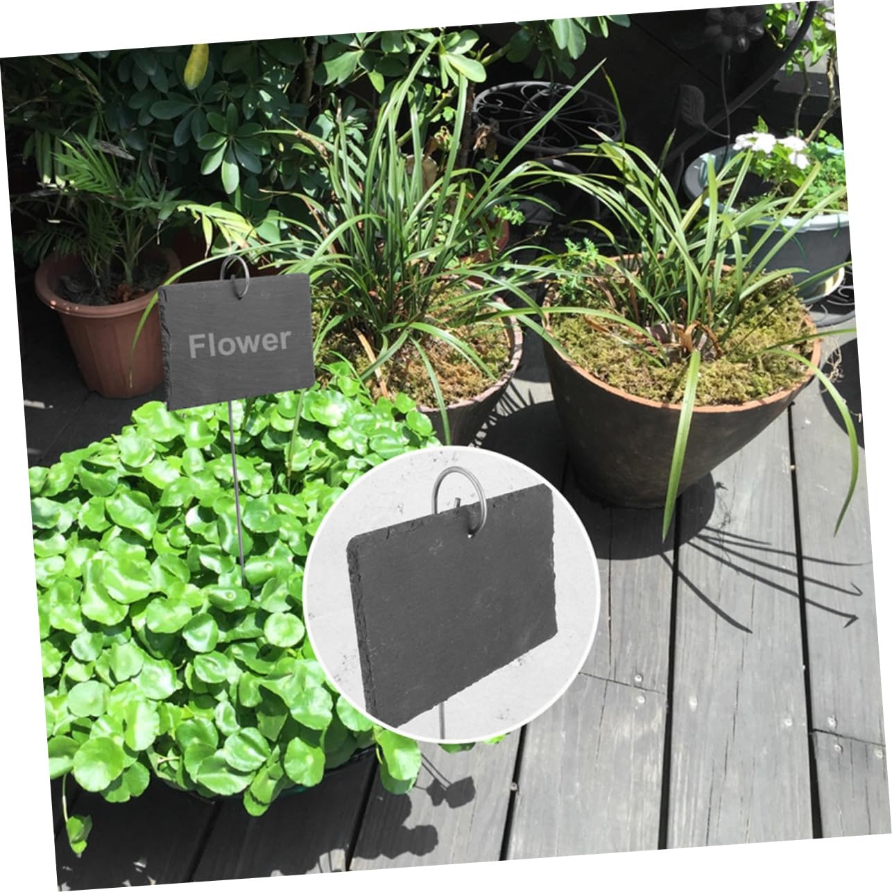 Étiquettes Plantes en Ardoise 12 Pièces, Acier Inoxydable Noir