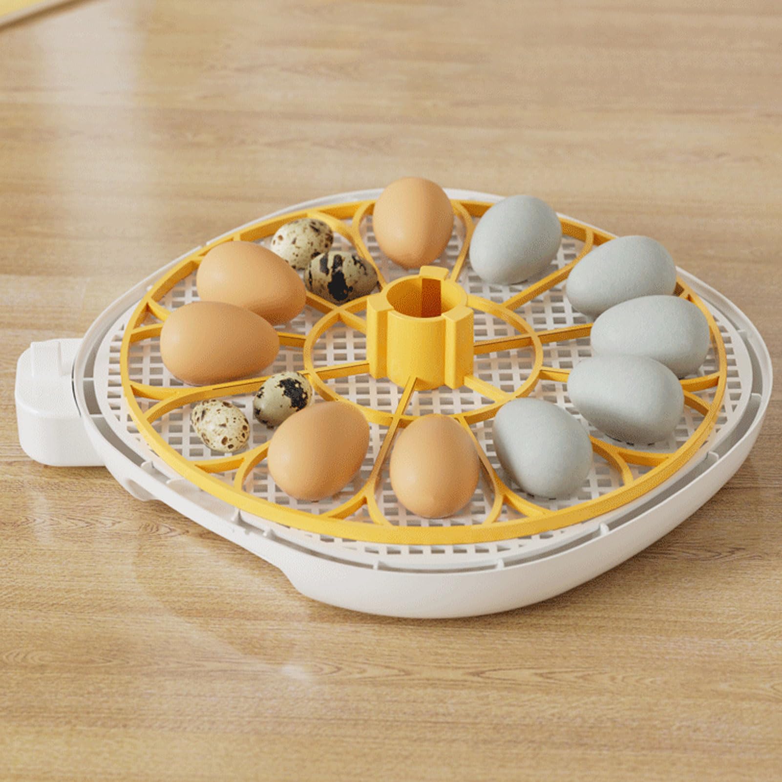 Incubadora de 12 Huevos con Giro Automático de Huevos y Control de Humedad, Incubadoras de Huevos de Diseño Ventilado para Huevos para Incubar, Incubadora de Huevos de (Enchufe