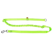 Dingo Waldemar Rutkowski 14695-2 Guinzaglio Canicross, Verde