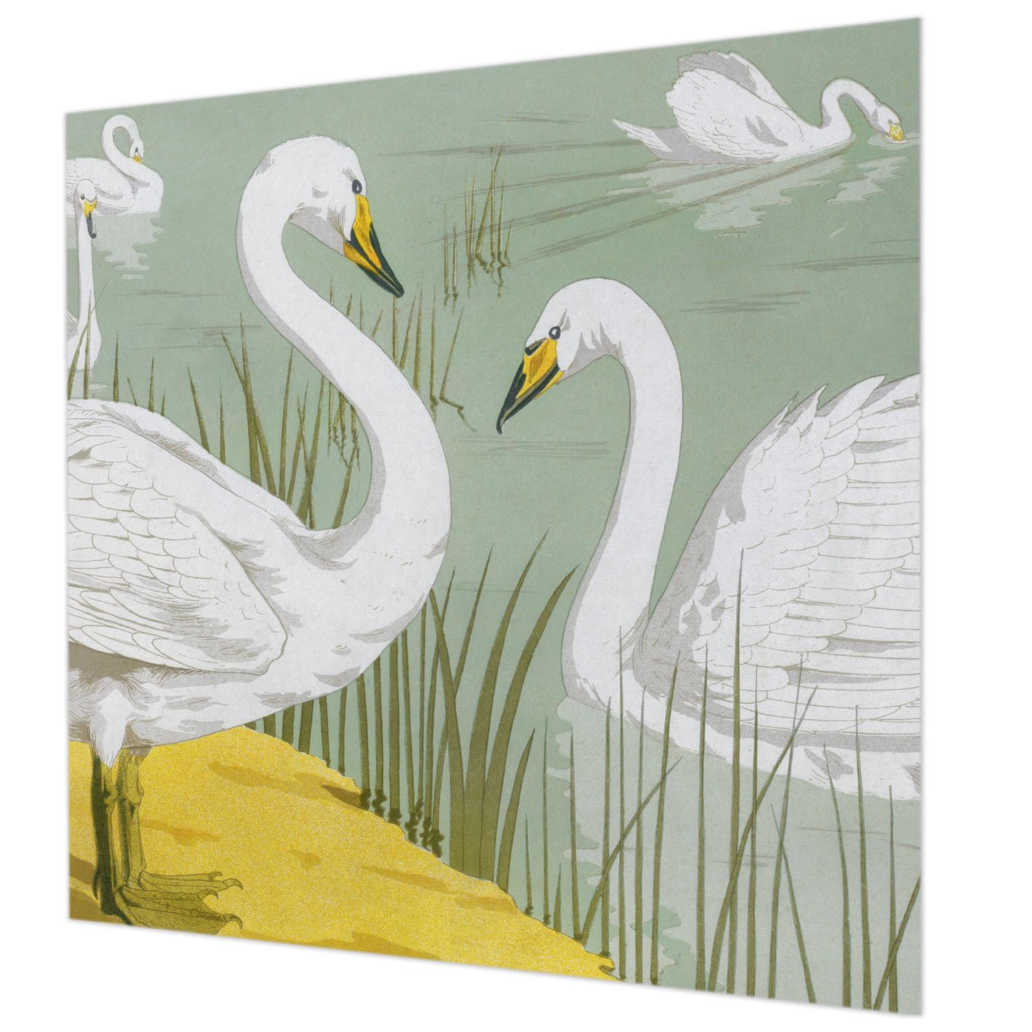 Papier peint Lac des cygnes 250x250 : créez un salon poétique et relaxant