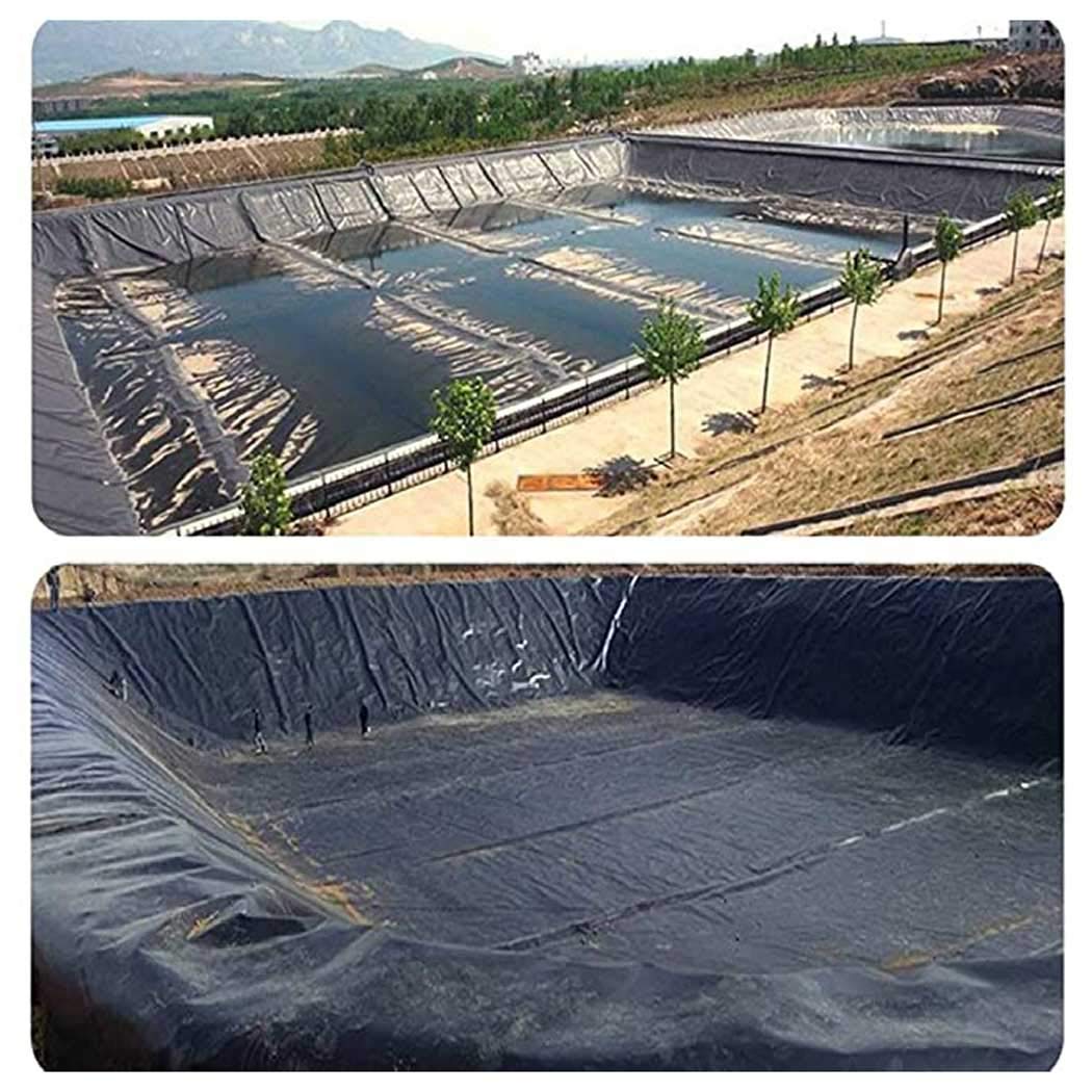 Lona Para Estanque De PVC/HDPE - Tamaño 8x6 M, Impermeable Y Flexible, Para Estanques De Peces Y Jardines Acuáticos