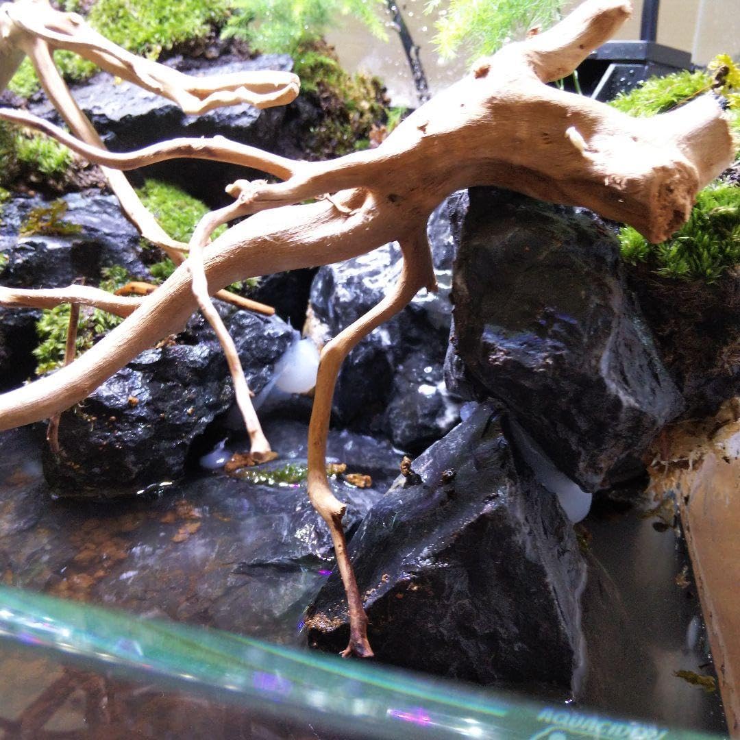 オーダーメイド】滝のあるアクアテラリウム苔テラリウムアクアリウム