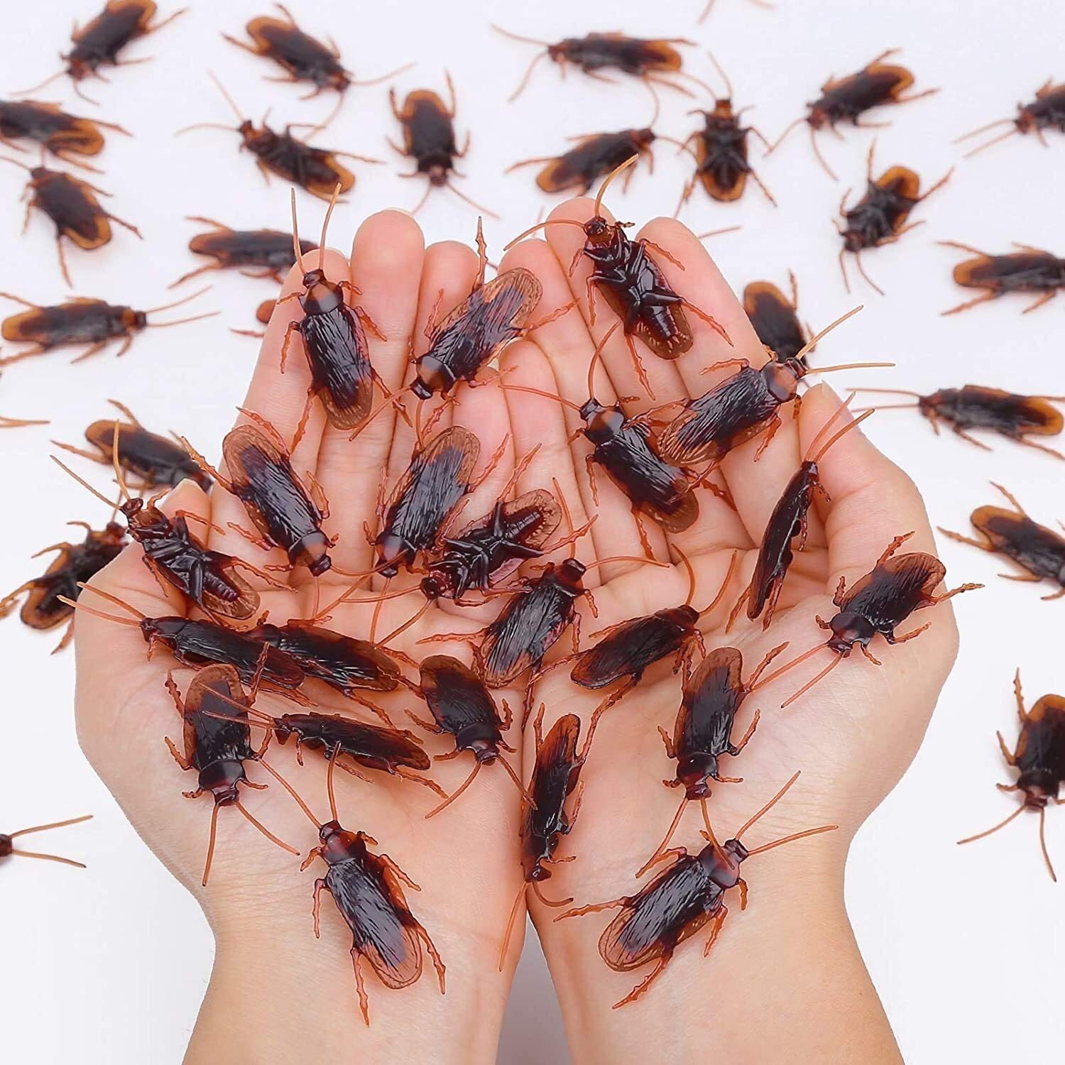 Buy Pretty Realistic 50PCS Fake Roaches, Fake Cockroaches Great Way to