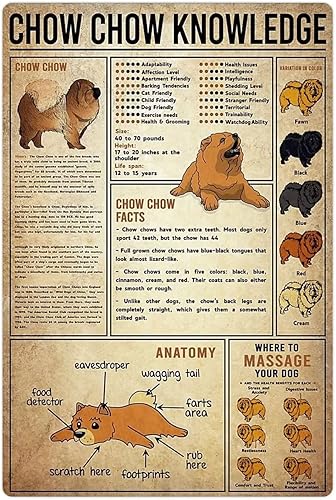 Miniatura 9 de Carteles de metal con regla de ajedrez de conocimiento, reglas de ajedrez, pósteres de infografía, guía para principiantes, placas de ajedrez, sala