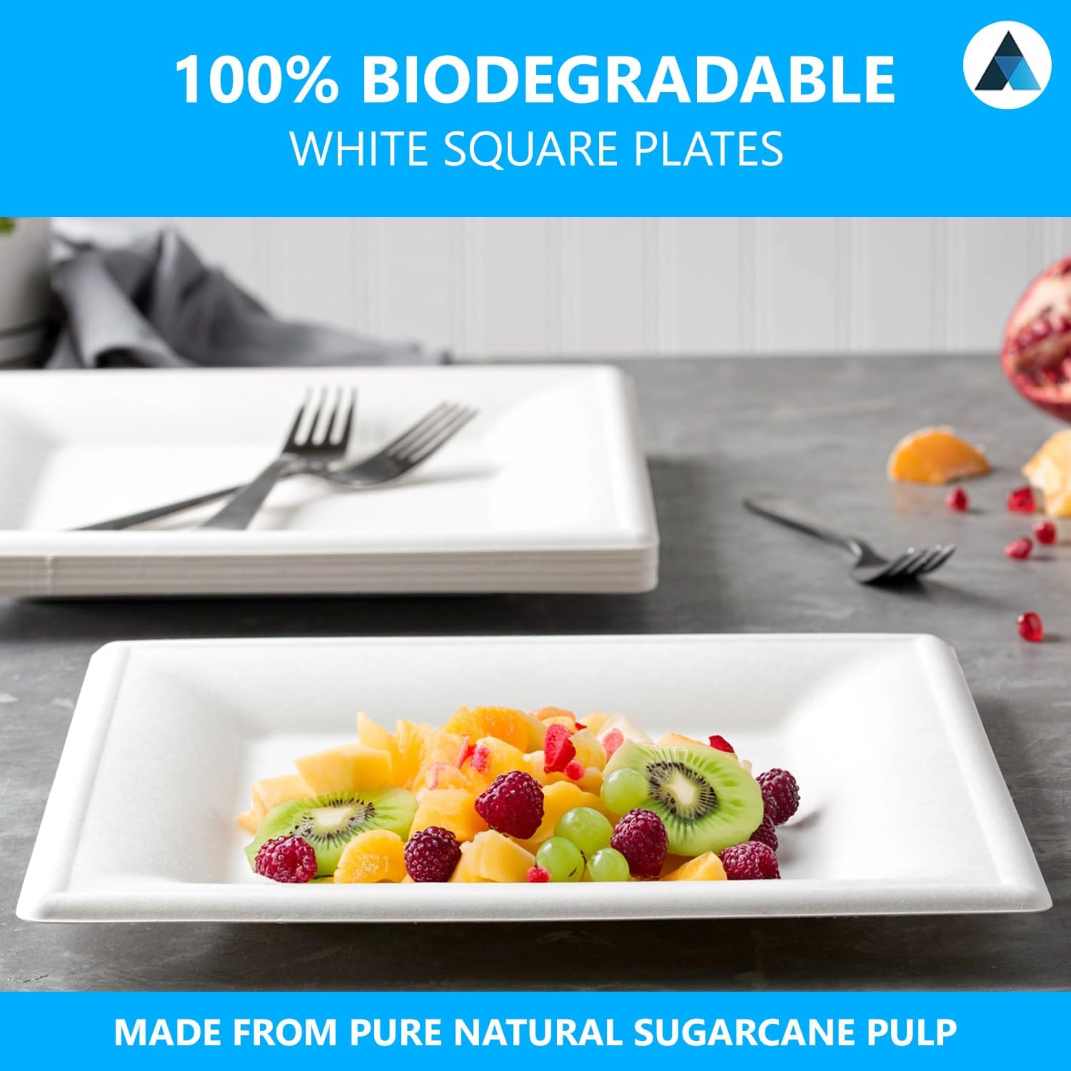 NationwidePaper 8 Inch Biodegradable Square Paper Plates, Bagasse White Disposable Plates, Strong Party Plates (25 Pcs)