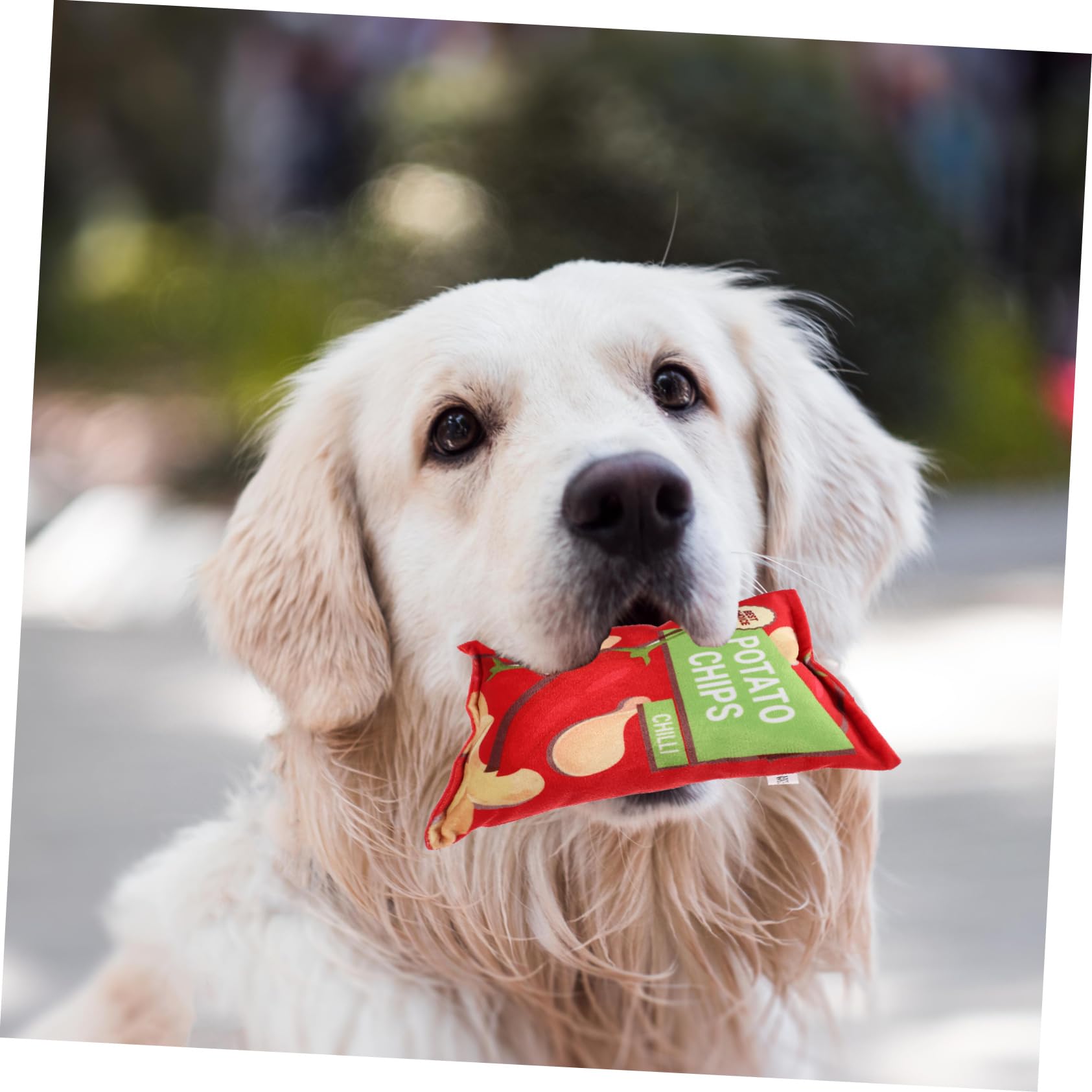 4 Juguetes con Sonido para Mascotas, Juguete Masticable Portátil, Juguete Masticable Doméstico, Accesorios para Perros, Juguete para Cachorros Doméstico, Juguete Molar Compacto,