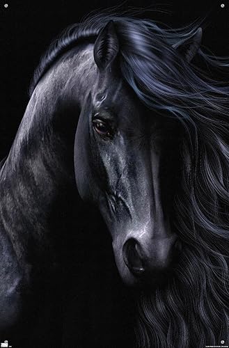 Miniatura 4 de Trends International Laurie Prindle - The Black Wall Poster with Pushpins