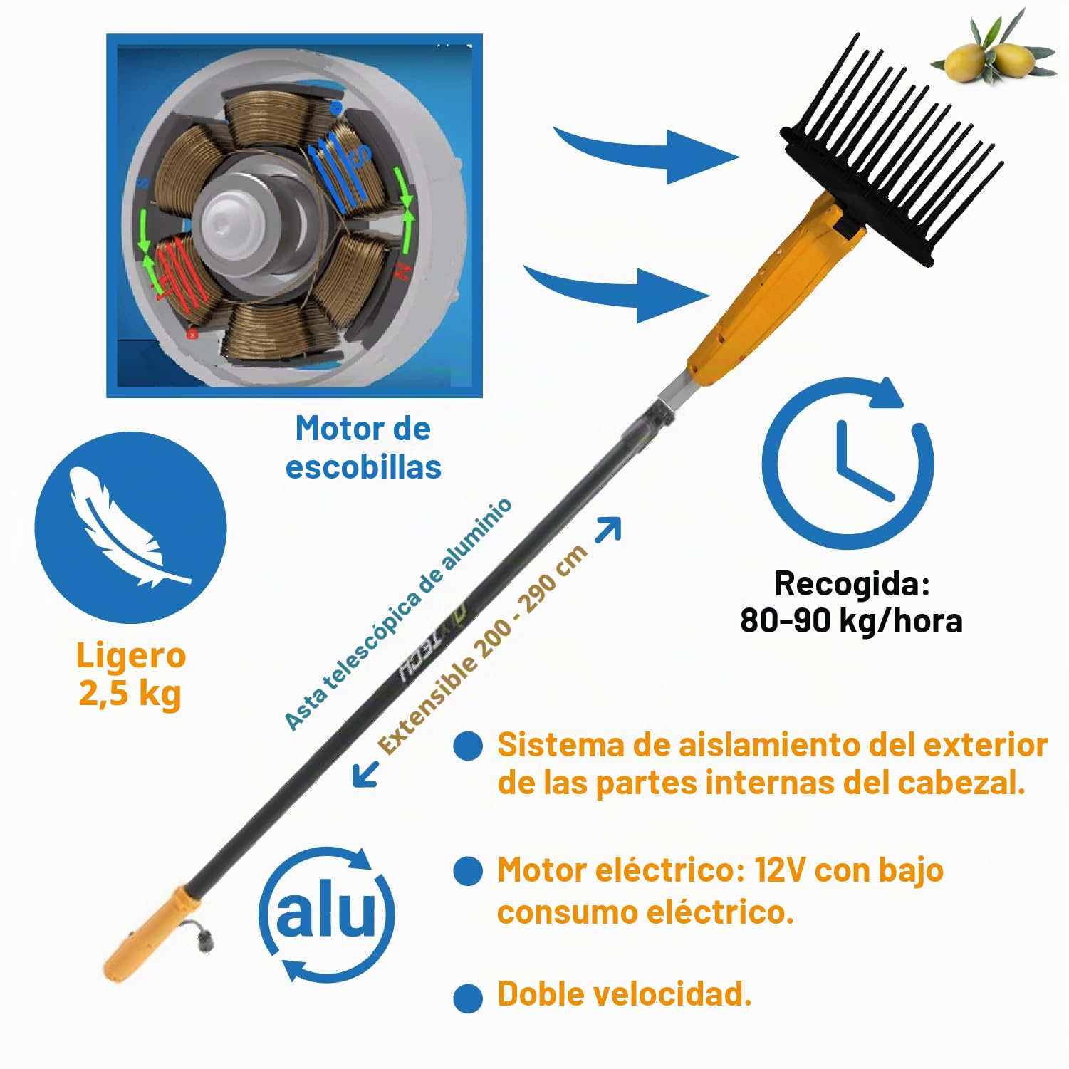 Crisalide® - Olytech Dualcomb 13 - Vareador recogedor de aceitunas con batería - Negro