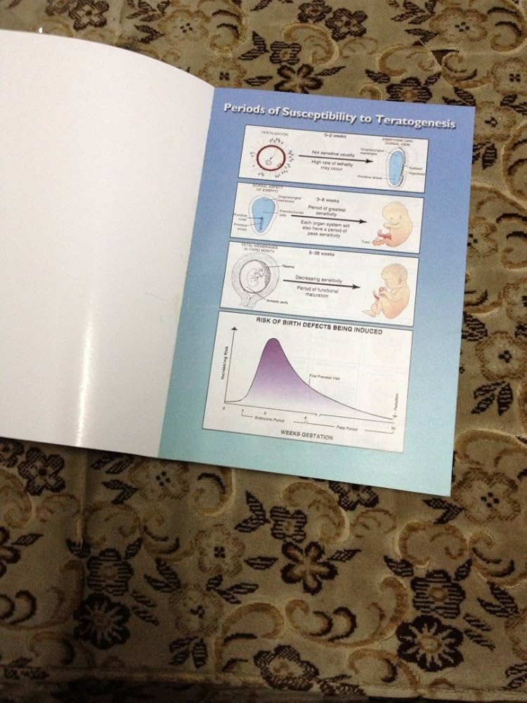 Langman&#39;s Medical Embryology [ペーパーバック] Sadler PhD， Dr. T.W. Amazon.com: Langman's Medical Embryology eBook : Sadler