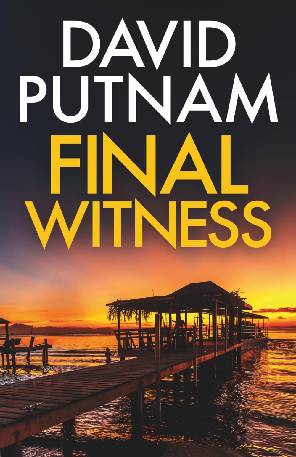 FINAL WITNESS: A gripping, high-octane thriller (Bruno Johnson Thrillers)