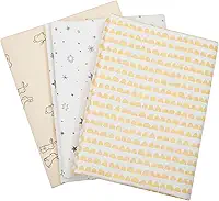 Papi Textil Cueiro Flanelado Papi Compose Estampado 80Cm X 50Cm Contem 03 Un